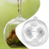Hanging Glass Ball Garden Home Pots Succulent Tabletop Candles Vase Plant Tealights Terrarium Celebration For Christmas Wedding 5