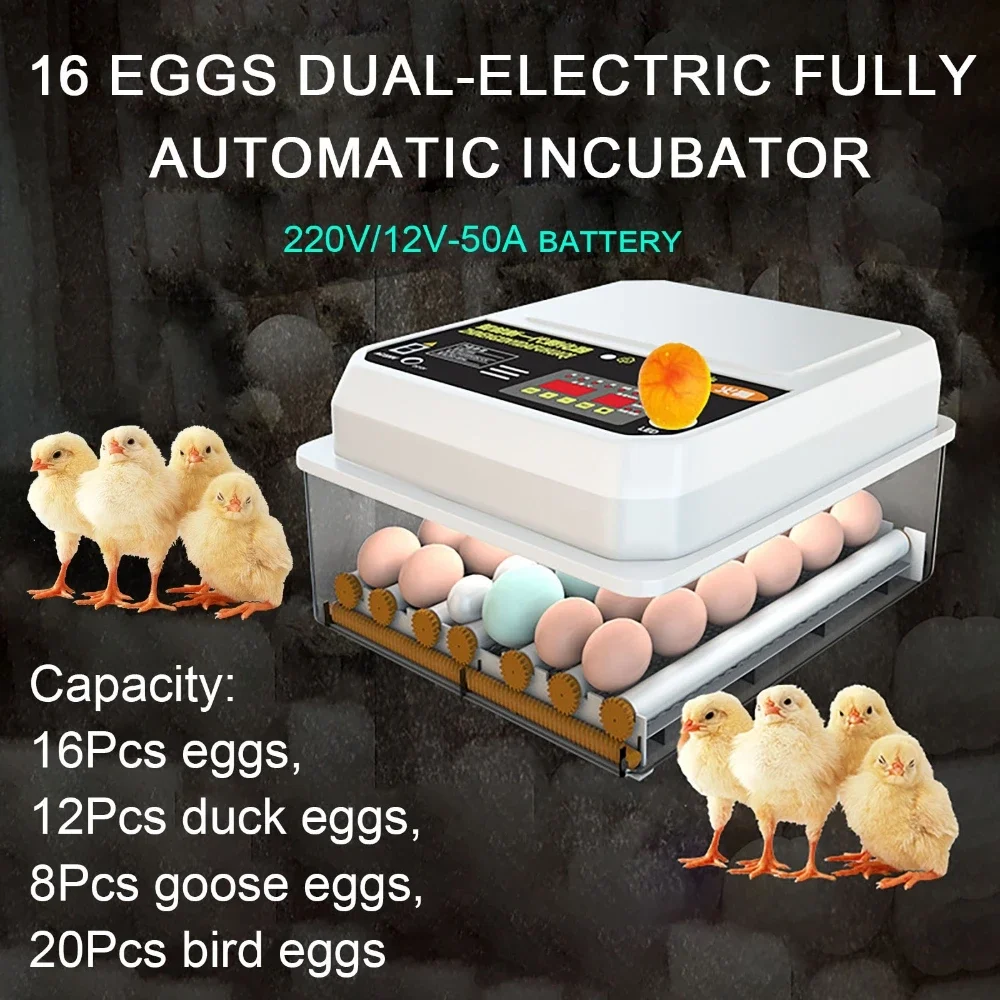 

16 Eggs Drawer Type Incubator 220V 12V With Automatic Water Replenishment And Temperature Control For Chicken Duck Goose Pigeon