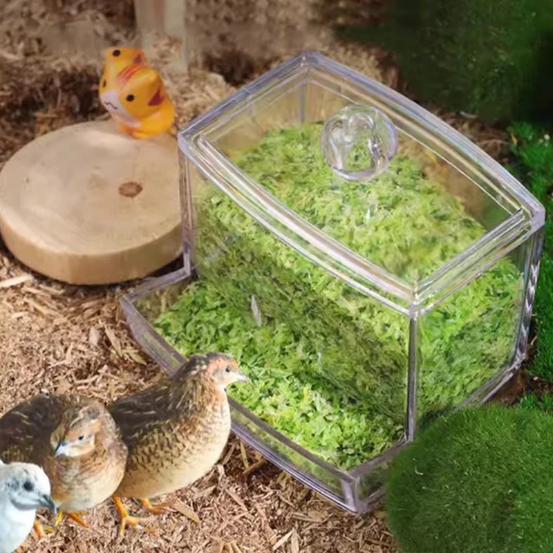 Acrylic Automatic Bird Feeders Chicken Feeding Trough Bird Feeders Parrot Feeder Food Container Cage Automatic Food Feeder