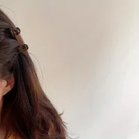 2pcs/set Mini Acetate Hair Claw Side Pins Small Size Shark Clip Sweet Cute Elegant Hairpin Hair Clips Women Hair Accessories 6