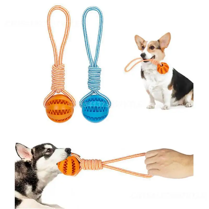 

Bite Resistant Toy Ball Molar Easy To Clean Small Dog Chew Toys Bouncy Ball Small Dog Chew Toy Customer Favorite Dog Toy