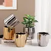 Geometric Gold Plating Personalized Small Flower Pot Nordic Light Luxury INS Style Desktop Ceramic Flower Pot with Porky Flowers 2