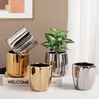 Geometric Gold Plating Personalized Small Flower Pot Nordic Light Luxury INS Style Desktop Ceramic Flower Pot with Porky Flowers 2