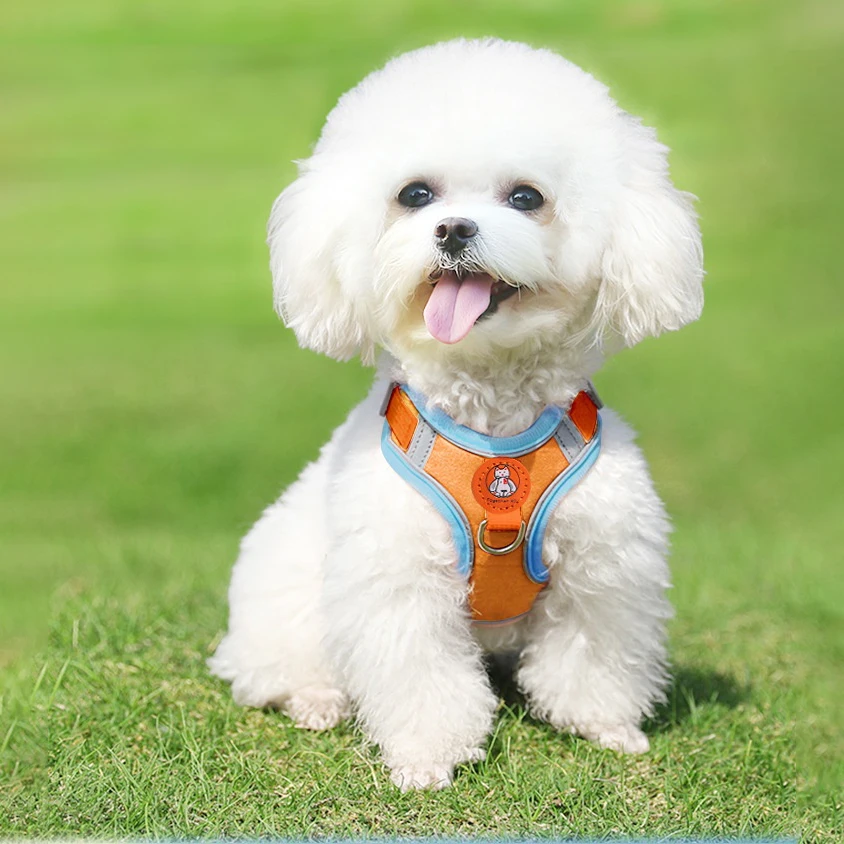 Harnais De Sangle De Caméra à Double épaule Harnais De Sangle De Caméra à Dégagement Rapide