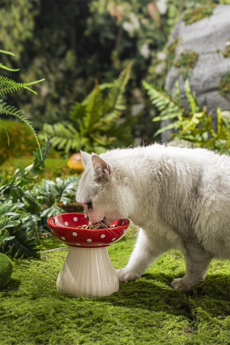 Title 5, Ceramic Cat Bowl Creative Cute Puppy Dog Feeder...