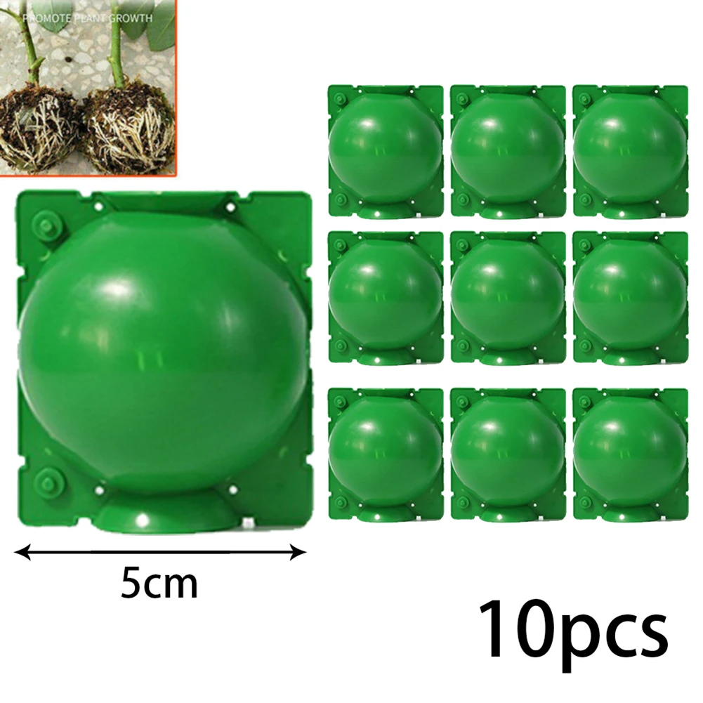 10PcsPlantRootGrowingBoxCuttingGraftingRootingBallGardenSaplingPropagationBalls5