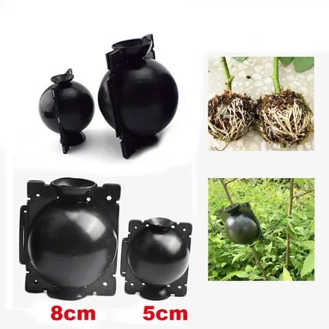 

5pcs Plant Rooting Box Grafting Growing Ball Breeding Case Plant Root Growing Box For Garden Tools