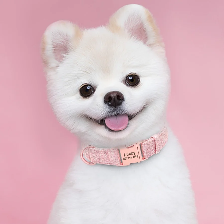 

Medium Small Lead Leash Dog Personalized Training Collar Customized Tag Adjustable Durable Collares Para Gatos Pet Accessories