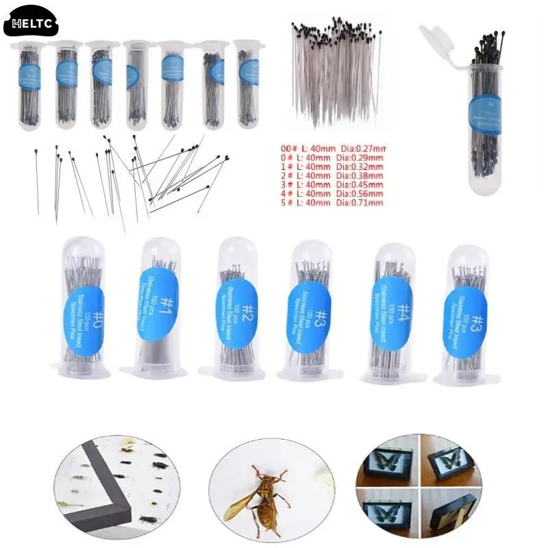 100Pcs Taxidermy Tools Insect Stainless Steel Rubber-tipped Needles Pins  Specimen Needle For School Lab Entomology