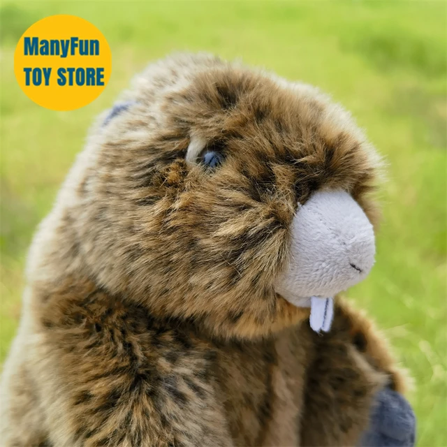 Peluche Marmotte Haute Fidélité, Jouets en Peluche Bobac, Simulation  d'Animaux Réalistes, Jouet Kawai en Peluche, Cadeaux pour Enfants -  AliExpress