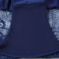 Femmes Sexy dentelle culottes sans couture coton respirant slips filles Transparent caleçon grande taille marque sous-vêtements 1 pièce 5