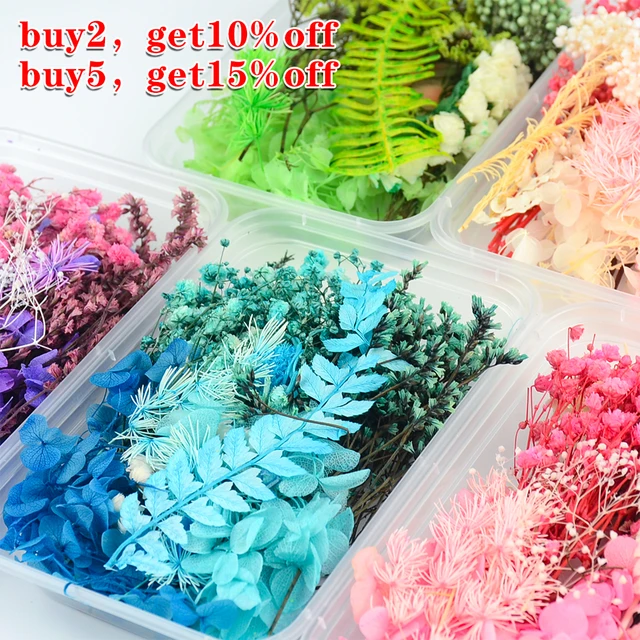1bag Natural Dried Flower For Aromatherapy Candle Making Epoxy Resin  Jewelry Dry Plants Dried Flowers Making Craft Accessories - Wax - AliExpress