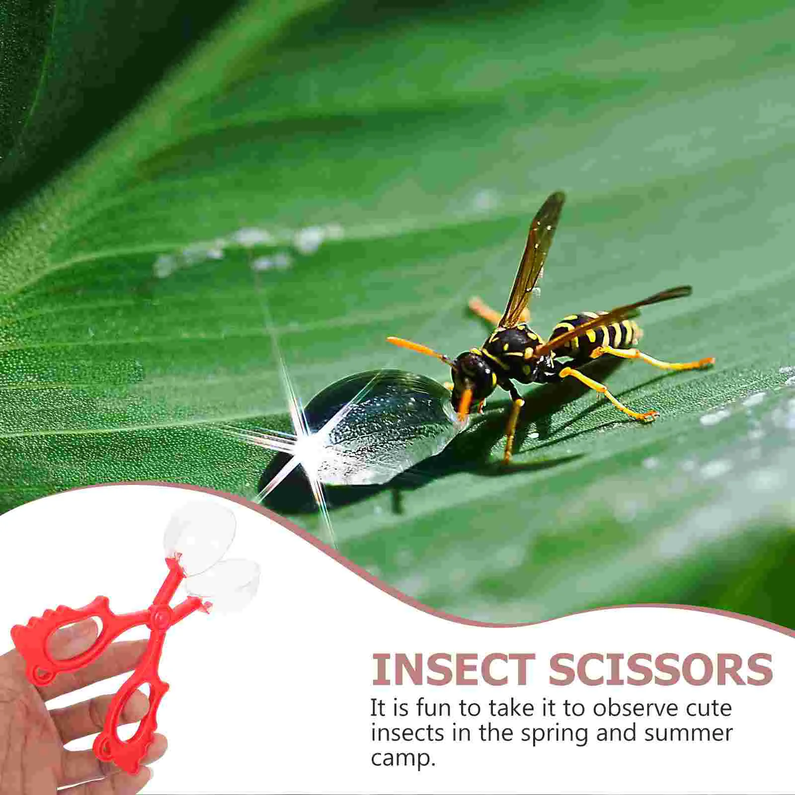 7 Pcs Insect Scissors Planting Kit for Children Bug Catcher Kids Bugs Insects Tongs Inspectary Tweezers Suite Biology 5