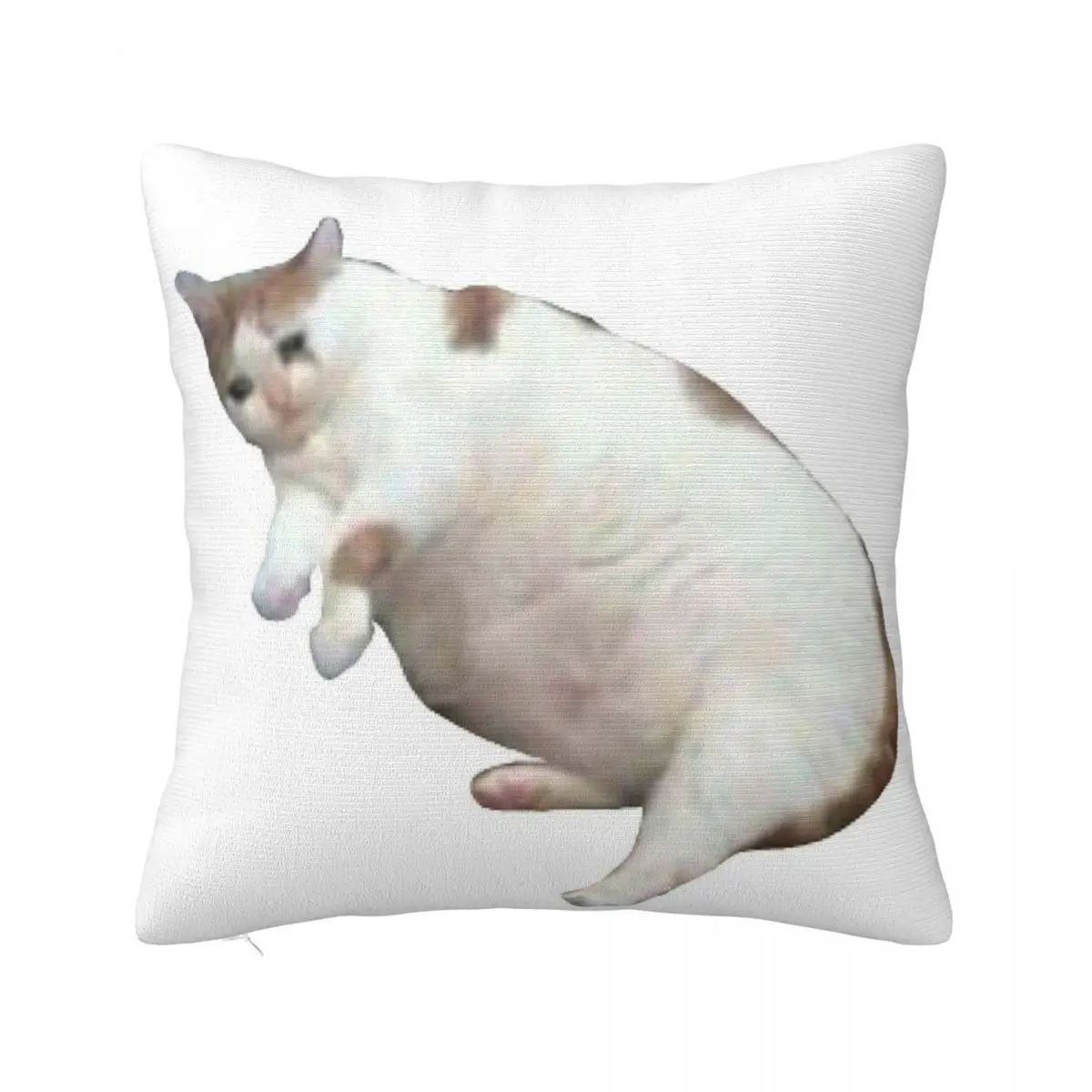 

Cat Home Decorative Cushion Decoration For Bedroom Pillow Case Pillow Cover