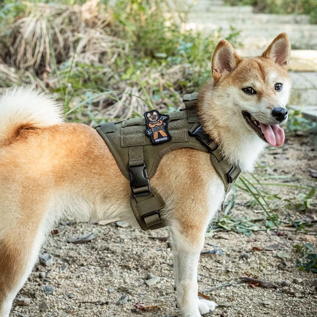 Dog K9 Military Tactical Vest, Dog Vest Harness Tactical K9