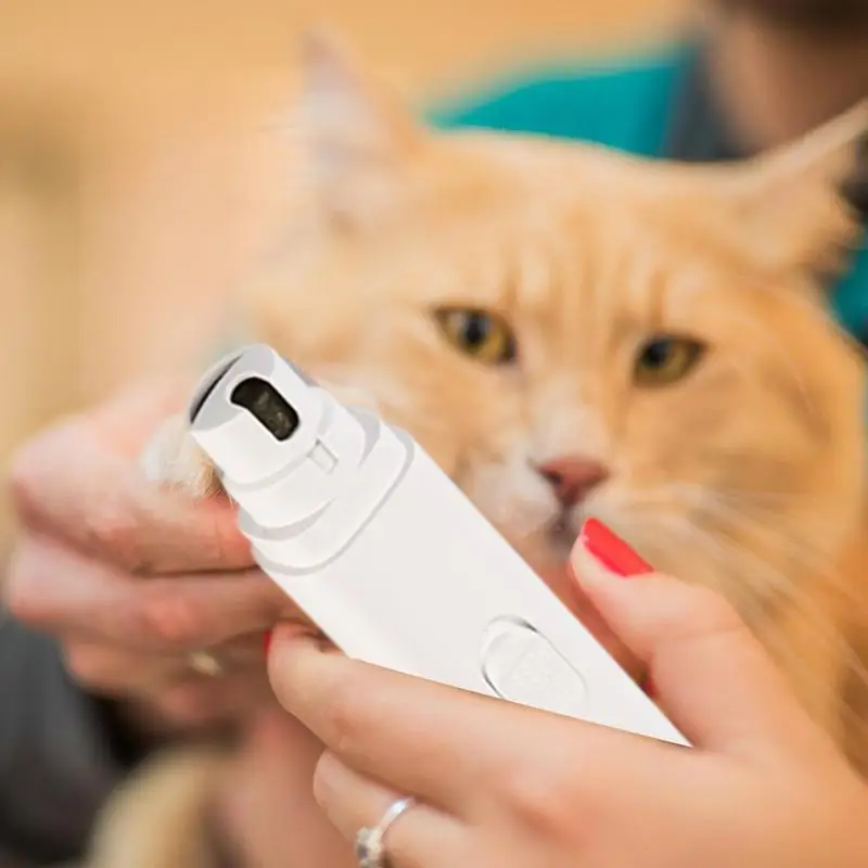 Dog Toenail Grinder Portable Dog Nail File Paw Drill Pet Claw Trimmer Rechargeable Electric Cat Clippers Toenail Filer For Small