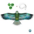 1.2m Green sea eagle