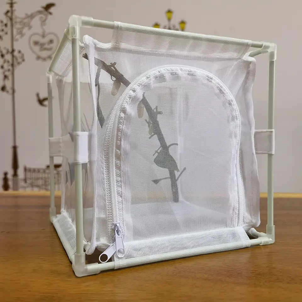 thumbnail image 2 of Butterfly Kit RESTCLOUD Insect And Butterfly Habitat Cage Terrarium Pop-up 12" X 14" Tall Monarch Butterfly Growing Kit 2 of 12