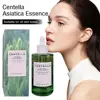 Natural Serum Moisturizing Hydrating Anti-wrinkle Repairing Facia Skin Barrier Soothing Firming Face Care Cosmetics ﻿ 2
