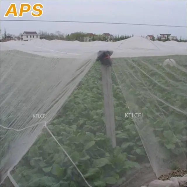 5M 80Mesh Rovarháló Gyümölcsfák Kártevőirtó Növények Védelem Borító Pe Nylon Nettó Szúnyog Levéltetvek Kártevő Visszautasító - Image 3