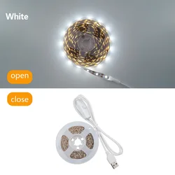 Versatile USB - Powered LED Light Strip with Adjustable Warm - to - Cool White Illumination and Easy Installation - 20m (White light)