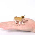 Greyhound