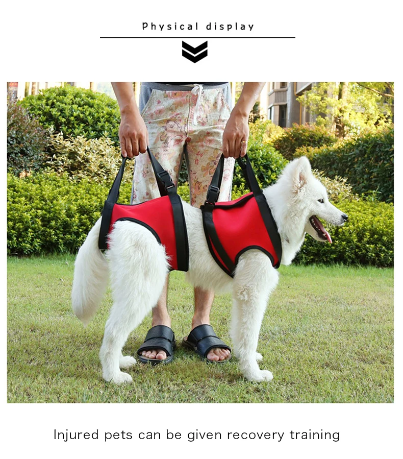 Dog Body Restore Harness Pet Stair Support Harness Vest Adjustable Front Rear Leg Dog Sling Walking for Injured Dog Supplies