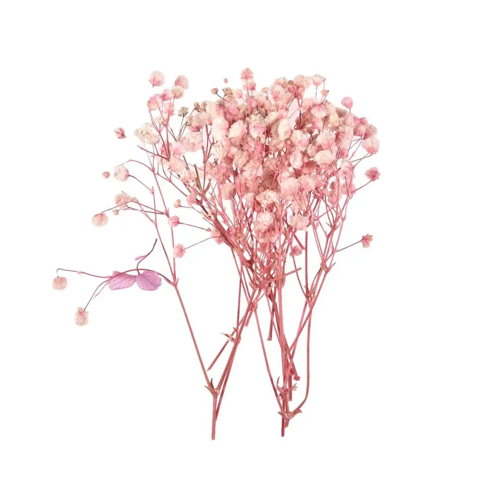 Trockene Blumen echte getrocknete gepresste Blumen getrocknete Blumen Blätter Masse für Kerzen Epoxiden Anhänger Halsketten Schmuck Handwerk Dekor – Detail 10