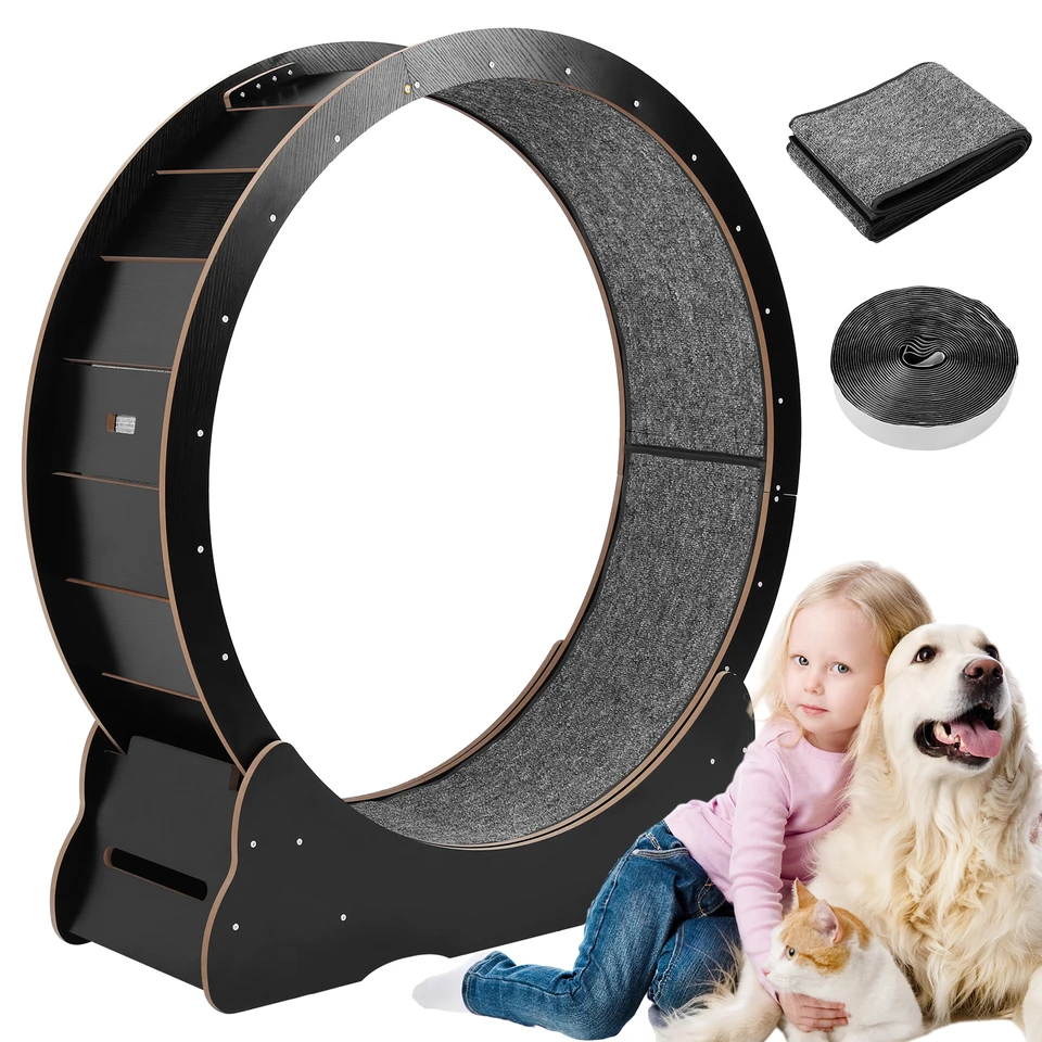 Indoor Cat Fitness Wheel for Exercise and Play