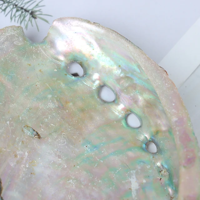 10 Stelle Marine Naturali Per Decorazioni - Mix Di Stelle Per Matrimoni, Casa E Fai Da Te - Foto 6