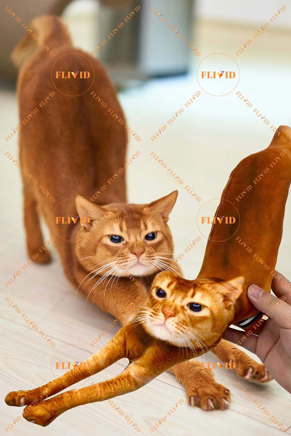 Custom Pet 3D Shape Pillow,Hot Ugly Cat/Dog Zany Pillow,Personalized Pet Pillow from Photo,Pet Loss Memorial Gift,Pet Lover Gift 5