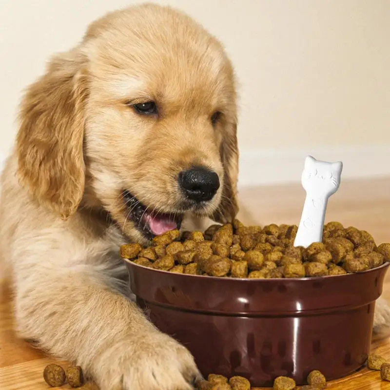Pet Food Desiccant Diatomite Food Moisture Absorbers Reusable And Cleanable Desiccant Strip For Household Daily Supplies
