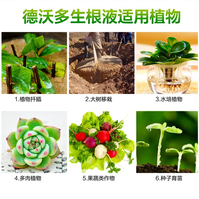 10 Darabos, Mindenféle Virág És Fák Számára Műtrágya Felhasználására - Vegyület - Image 5