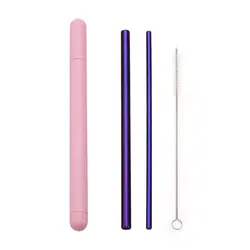 Premium Stainless Steel Reusable Straw Set with Cleaner and Portable Case (Purple-Pink Box)