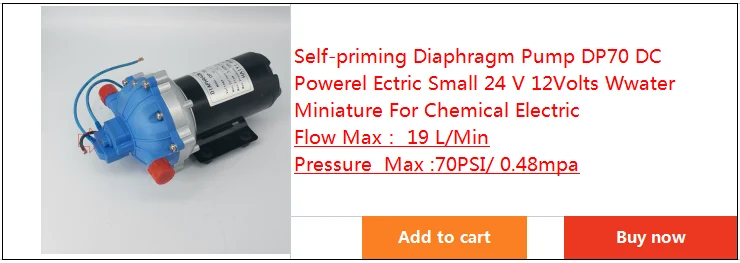 24 V Brushless Pump  Self-priming Pump - Self-priming Pump Dp60 24 V 12v  Shoes High - Aliexpress