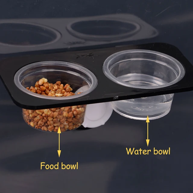 Reptiles & Amphibians Lizard Gecko Suction Cup Feed Bowls Food Container with Bowl for Reptile Food and Water Feeding 5