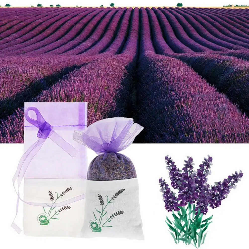 Sachet Daily Lavender Sachet Bag Safe Scented Flower Air Refreshing Bag for Home