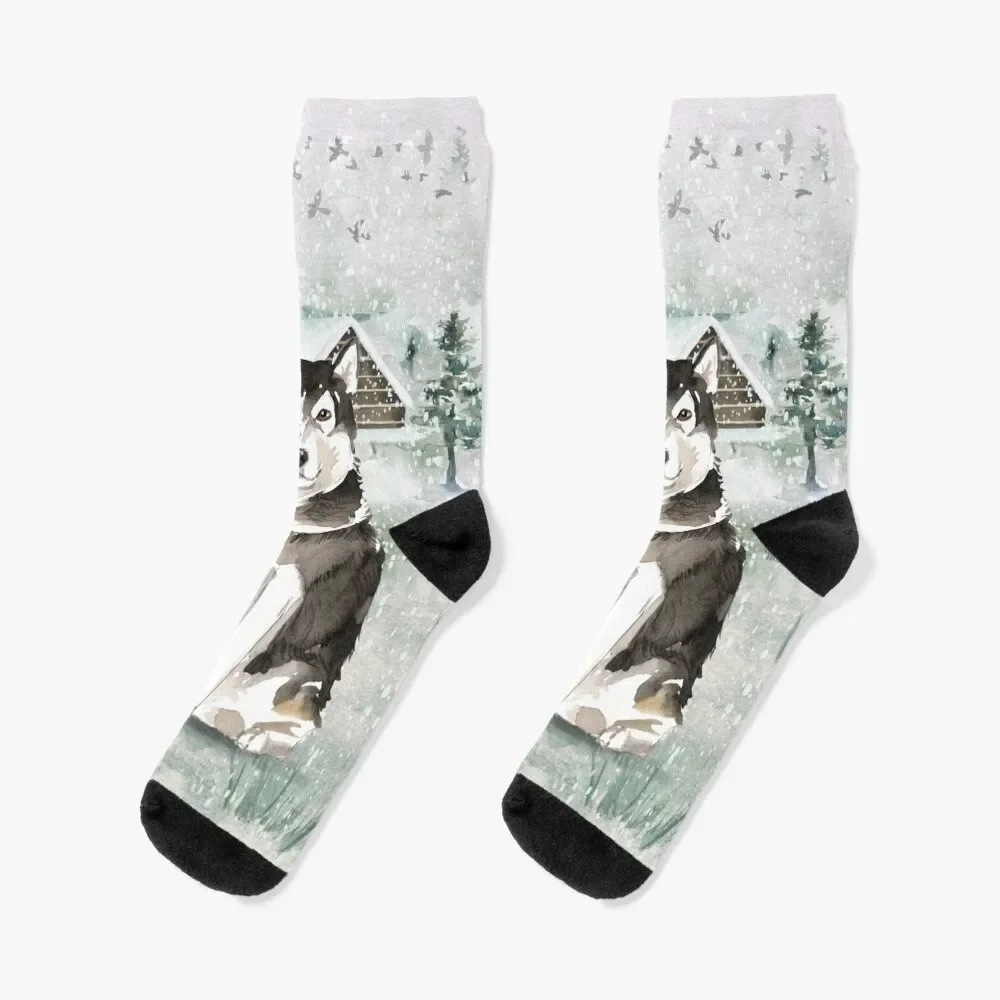 

Alaskan Malamute Socks gifts Heating sock Men's Socks Luxury Women's