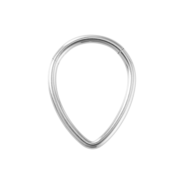 Nose Ring Hoop Septum Piercing Hinged Segment Clicker Surgical Steel Ear Cartilage Earrings Tragus Helix Daith Body Jewelry