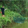 Foldable Drop Net Fishing Landing Traps Cage Catcher Prawn Bait Crab Shrimp Pier Harbour Pond Mesh for Vertical Shore Use 6