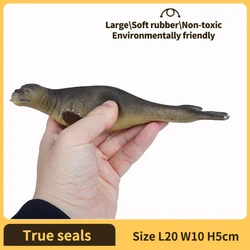 Realistic Soft Rubber Sea Animal Whale and Shark Toys for Kids - Perfect for Bath and Beach Fun (True seals)