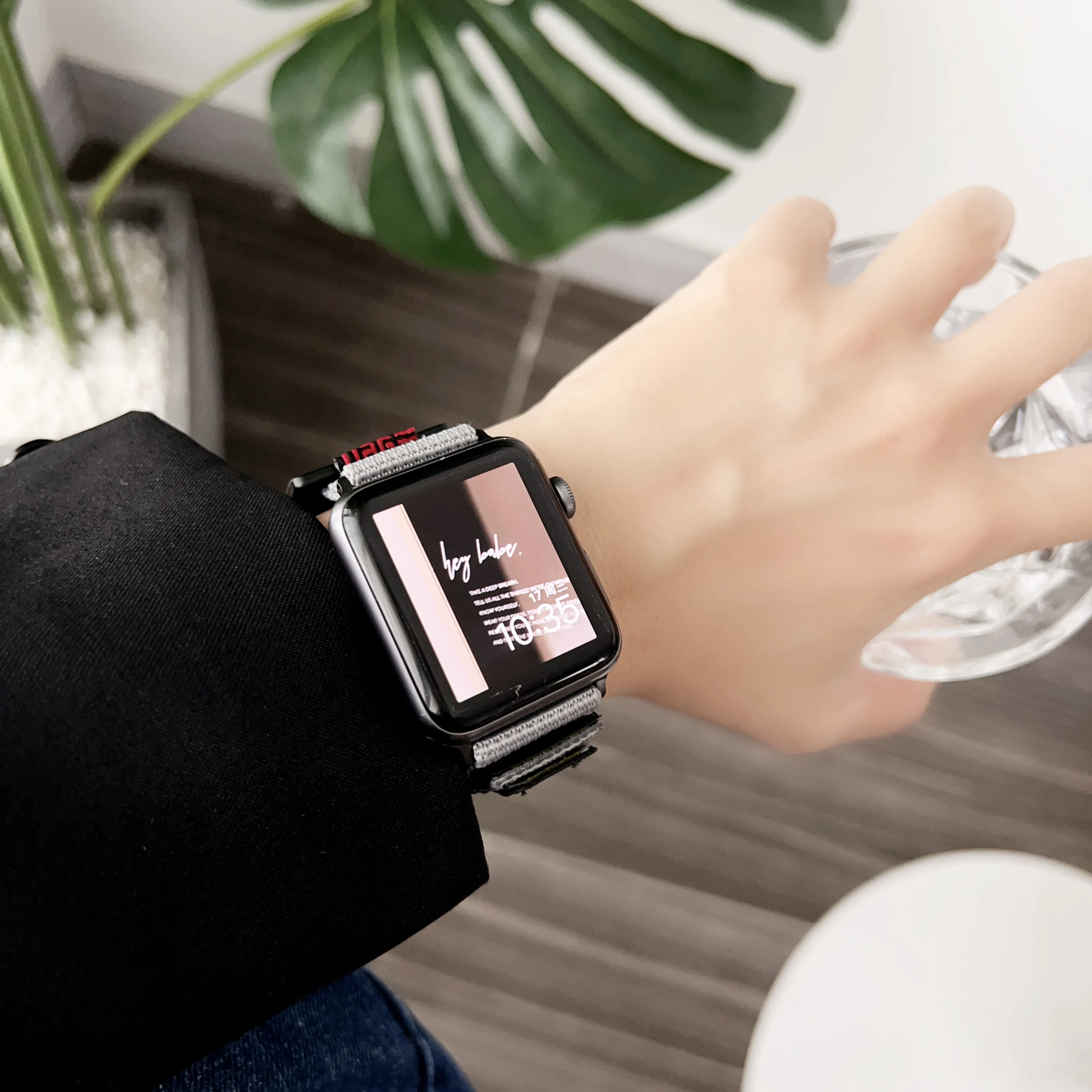  ġ Ϸ  Ʈ, Ʈ 49mm, 8, 7, 45mm, 41mm,  ո , ̿ġ 6, 5, 4, 3, 2, SE, 44mm, 40mm, 42mm, 38mm