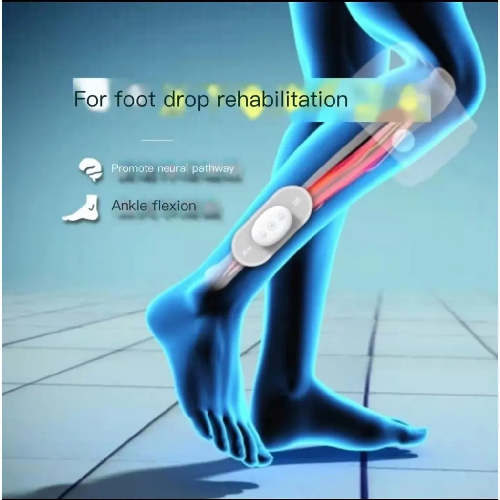 Extensor Digitorum Longus Exercises