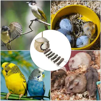 Coconut Bird Nest Bird Breeding Nest Hide House Toy With Ladder Coco Hideaway For Birds Bird Swing Toys Bird Cage Accessories 6