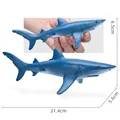 Ocean Animal-01