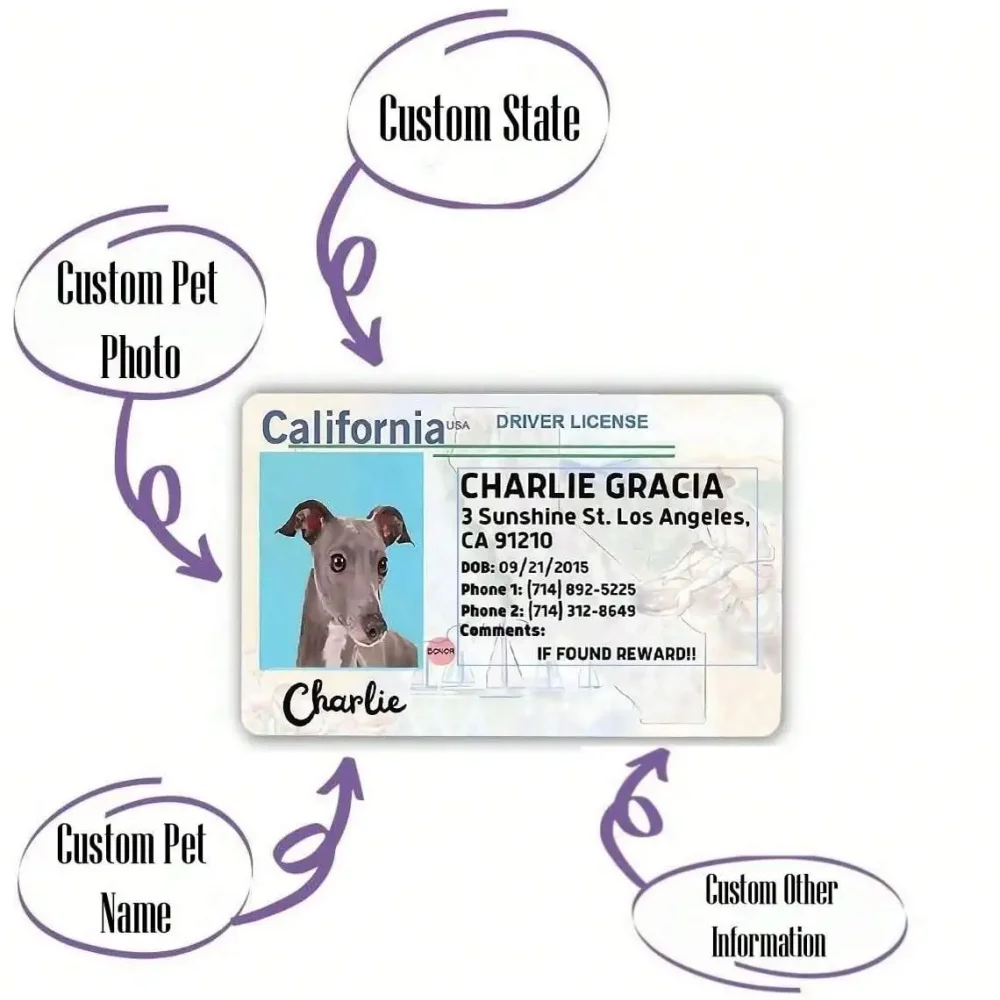 맞춤형 반려견 카드, 반려동물 카드, 개인 맞춤형 반려동물 ID 카드, 반려동물 생일 선물, 완벽한 지갑형 반려동물 카드, 반려동물 선물