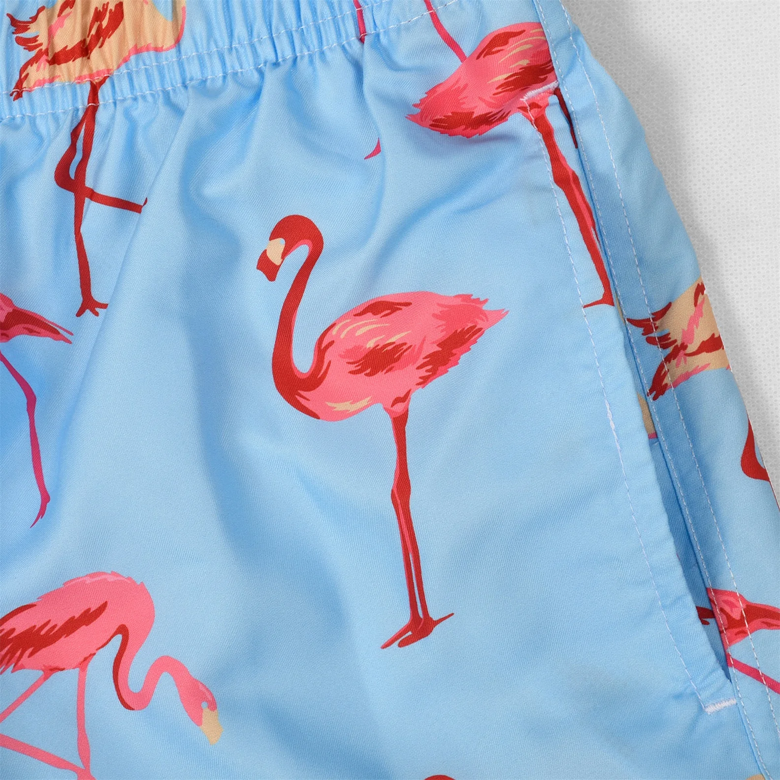 Flamingo Swim Trunks 5 S6ff343a153a749ca8b773c0f2dde1998m