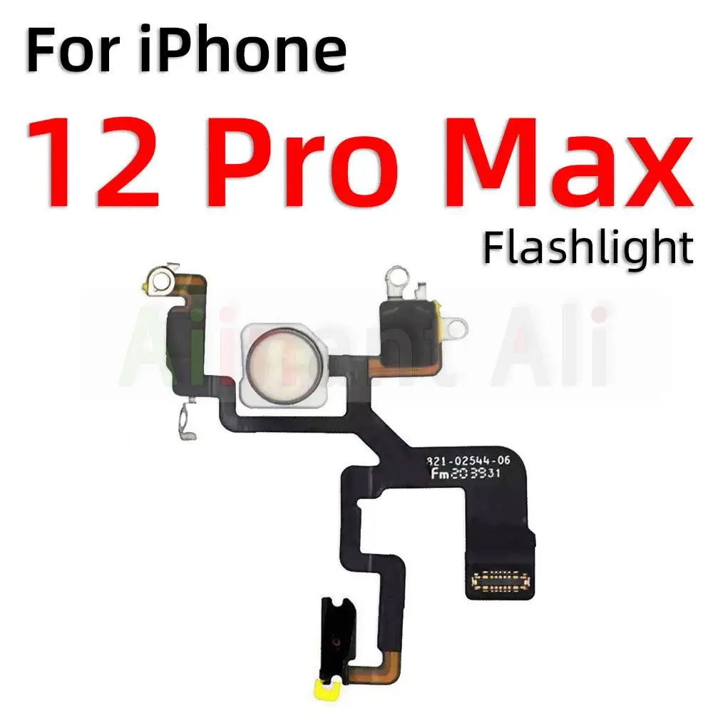 12 Pro Max Flash