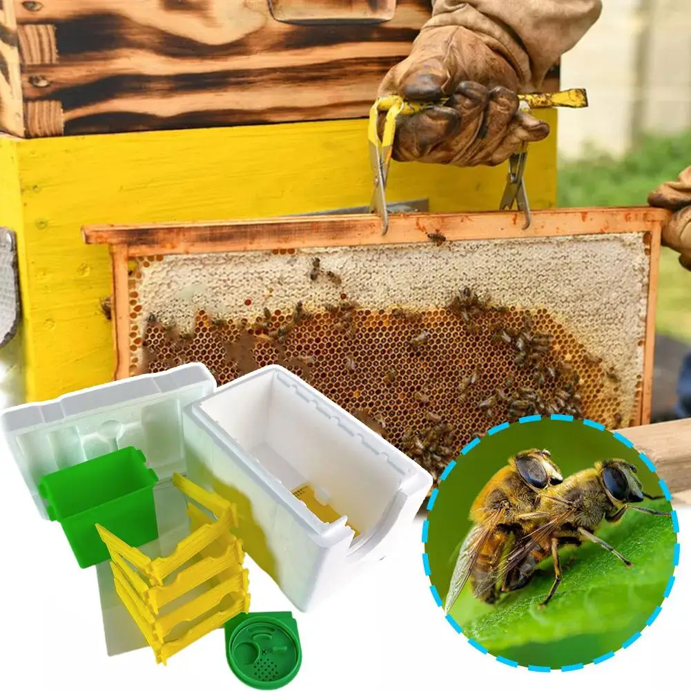 Multi-Function Home Bee Hive Pollination Boxes Mini Beekeeping Harvest Beekeeper Bee Supplies Hive Mating Box Beehive W5K3