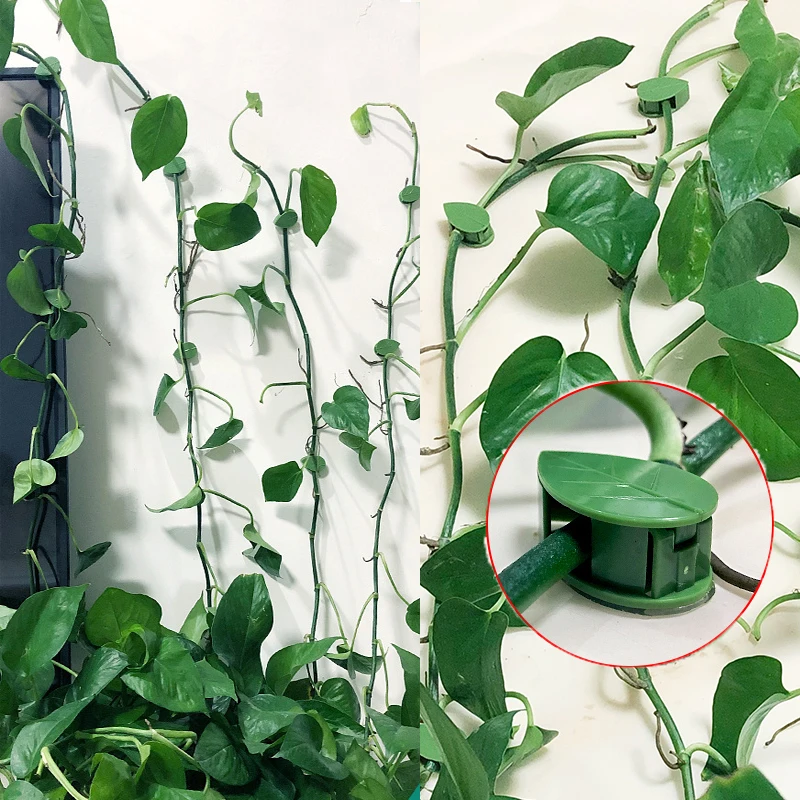 Invisible Plant Climbing Wall Fixture Rattan Vine Bracket Fixed Buckle Leaf Clips Traction Holder Garden опора для растений plant climbing support
